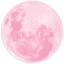 Pink Moon