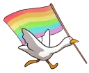 rainbow goose