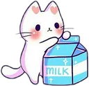 cat milk