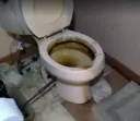 Zeren Toilet