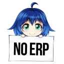 noERP