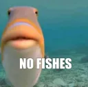 no fishes