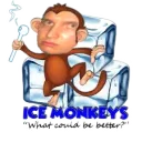 IceMonkey