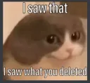 i saw what u deleted