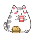 Cat eat