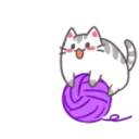Cat play