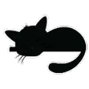 Cat chill