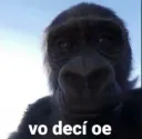 vo decí oe