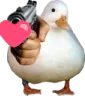 Duck Heart