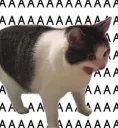 AAAAAAAAAAAAAAAAAAAAAAAAAAAAAA
