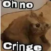 cat cringe