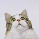 For those who don't believe