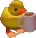 coffee duck