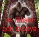 os follare con la poya
