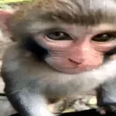 а ты шутник