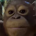 got games on ur phone/YIKES.gg