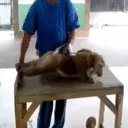 КАЧАЮСЬ К ЛЕТУ