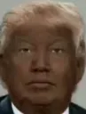 nigga trump