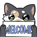 welcomekitty