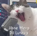 Jinhe Mera Dil Luteya