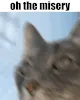 Oh The Misery