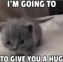 Give Hug