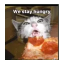 Hungery