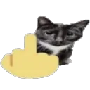 CatMiddleFinger