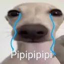 pipipi