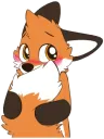 Fox Shy