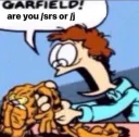 GARFIELD ARE YOU /J OR /SRS?