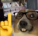 Cão Nerd | DdIss