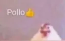 pollo