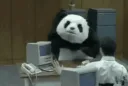 angry_panda
