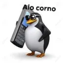 Alô corno