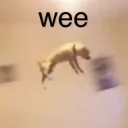Wee
