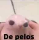 d pelos