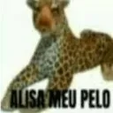 alisa meu peloh