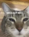 Rizz