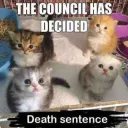 council