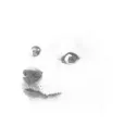 Ghost Doge