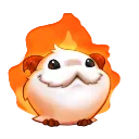 Happy Poro