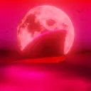Requin Magenta