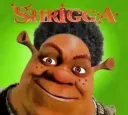 Shriggamynigga