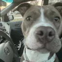 astonfr? | .gg/chynesefood