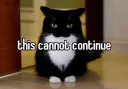 This Cannont Continue