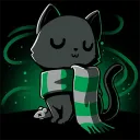 Slytherin Cat