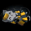 Hufflepuff Cat