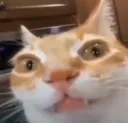 demon