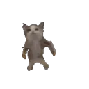 cat dance | .gg/wife